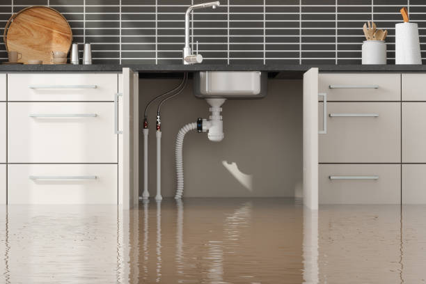 Best Wood Floor Water Damage Restoration in Monteagle, TN